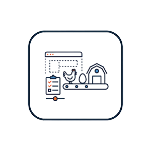 سیستم تولید و کنترل تولید مرغداری(تخمگذار گوشتی)